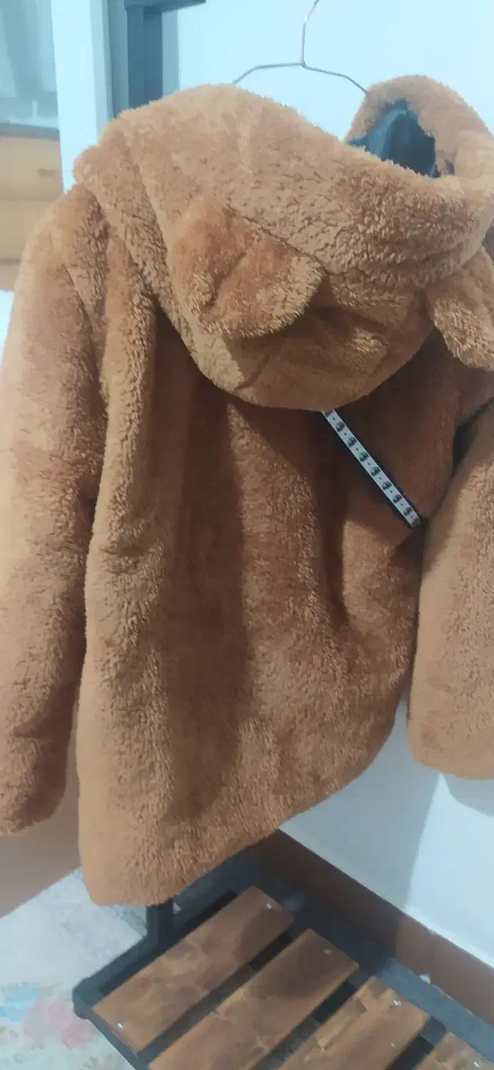 کاپشن تدی|لباس|فولادشهر, A6|دیوار