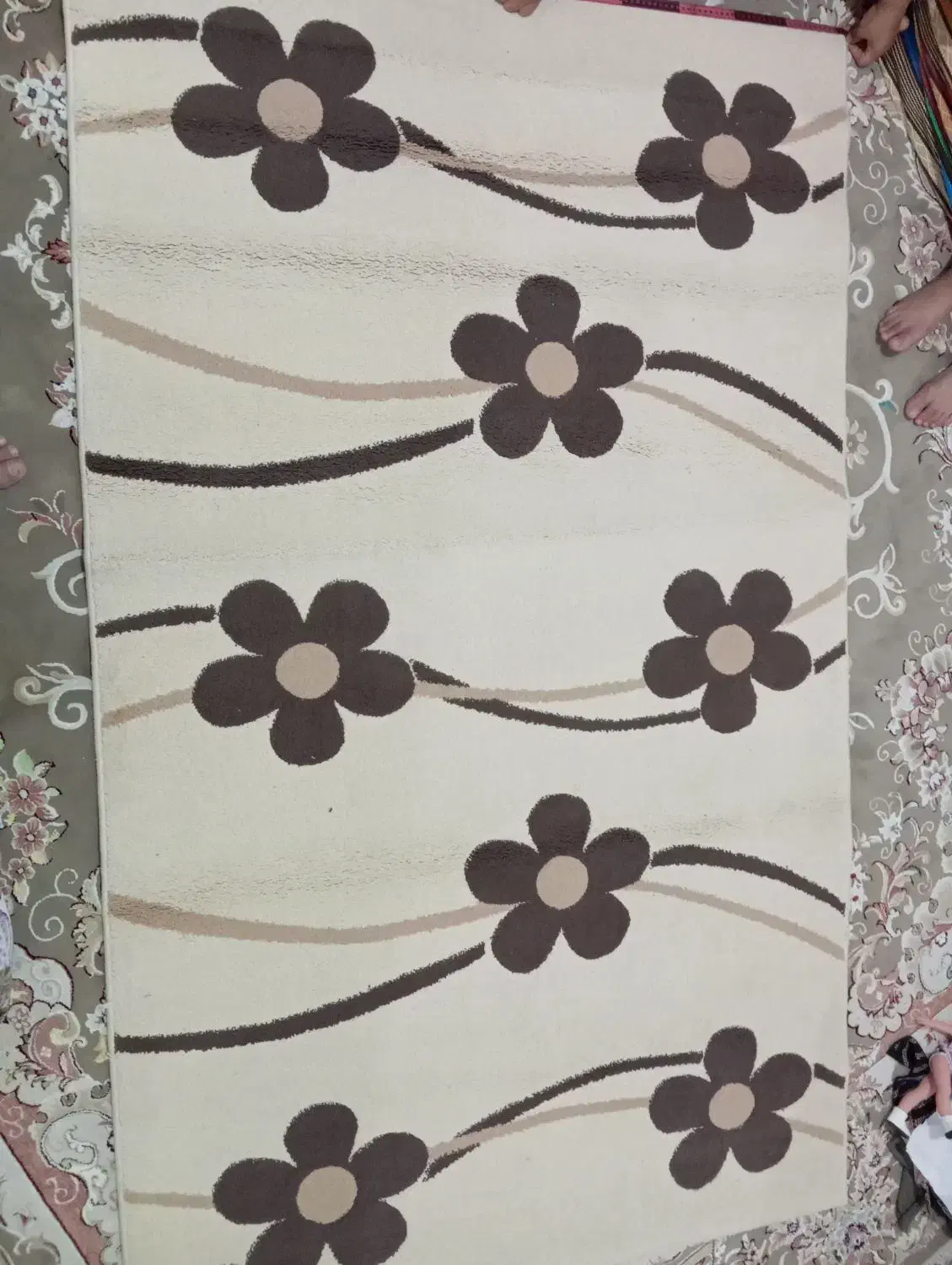 فرش ۹ متری گلیم فرش|فرش|قوچان, |دیوار