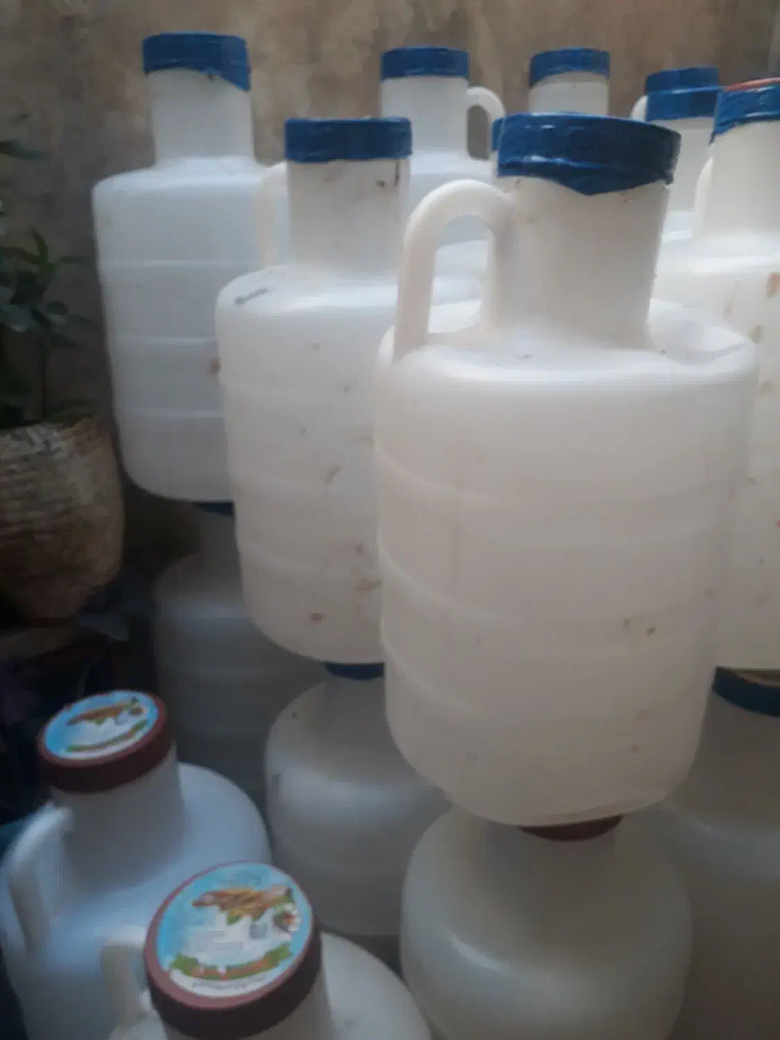 دبه خالی|ظروف نگهدارنده، پلاستیکی، یک‌بارمصرف|رشت, باهنر|دیوار