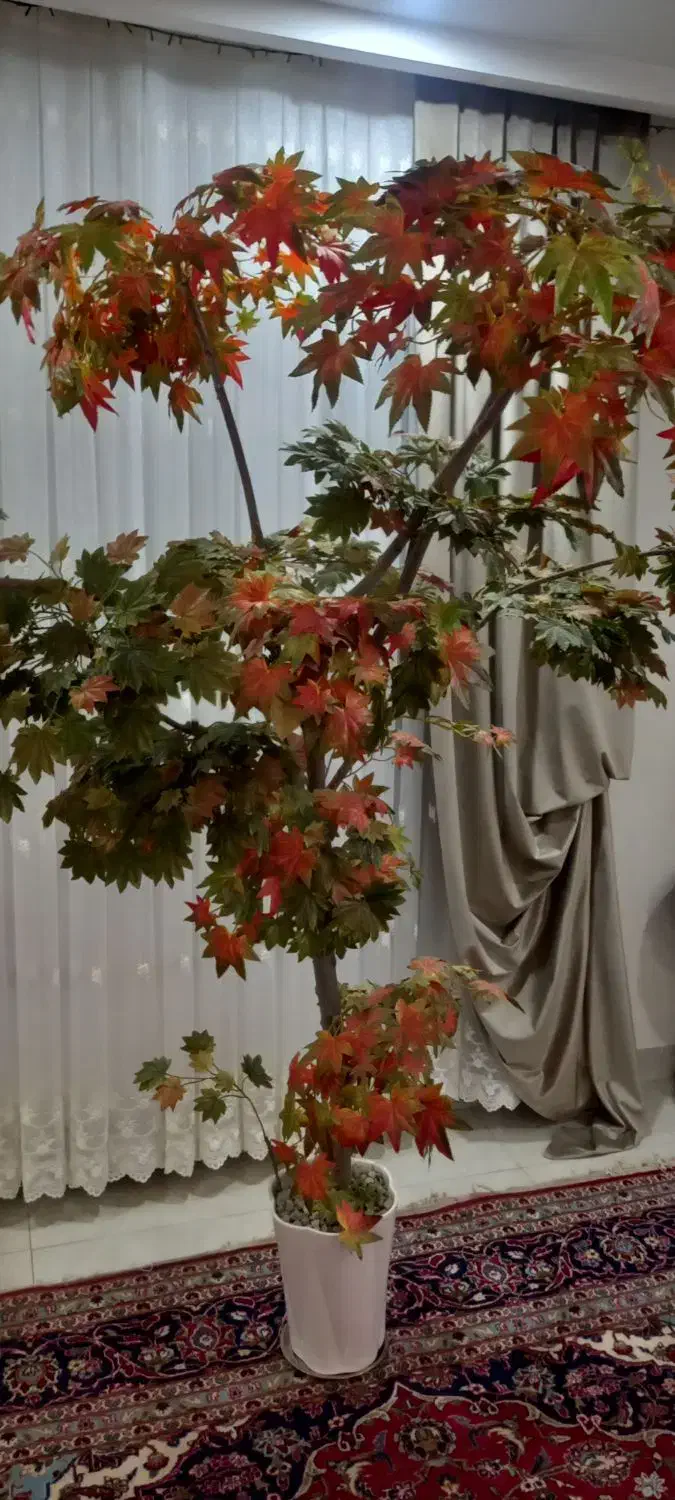 درختچه مصنوعی|گل مصنوعی|تهران, شهمیرزادی|دیوار