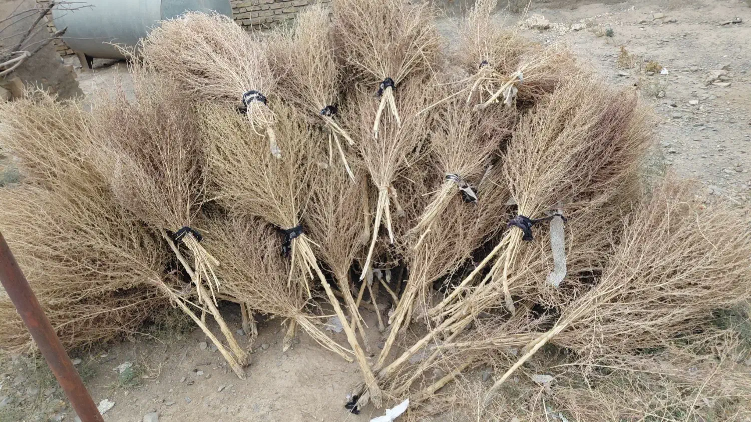 جارو محلی|لوازم نظافت|نیشابور, فضل|دیوار