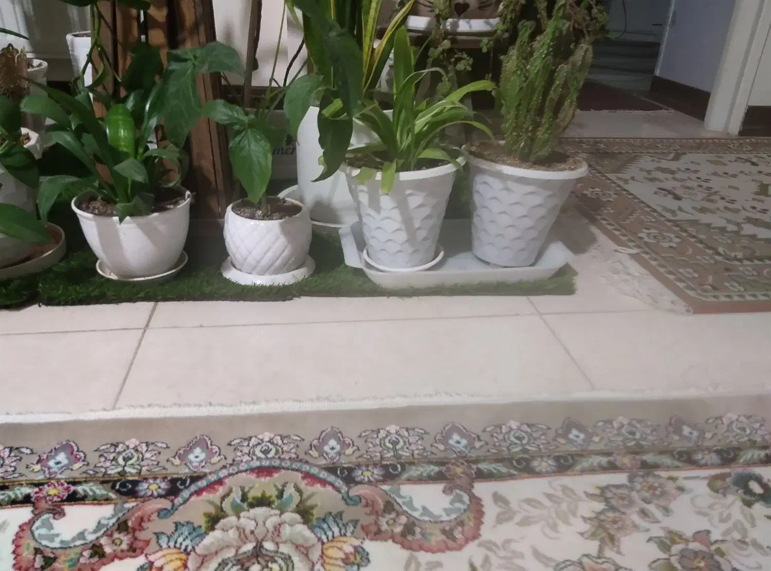 آپارتمانی|گل و گیاه طبیعی|شاهین‌شهر, شهرک میلاد|دیوار