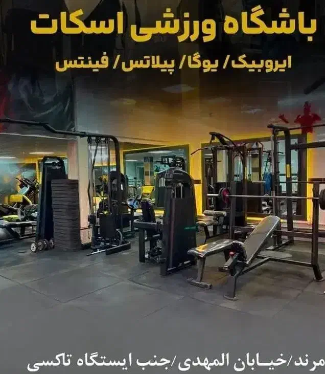 باشگاه اسکات مرند|خدمات آموزشی|مرند, |دیوار