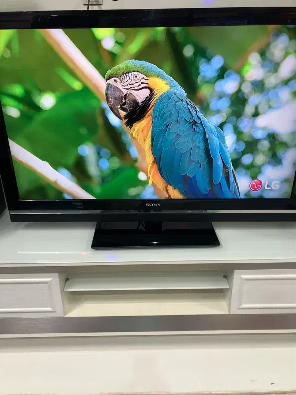 تلویزیون برند سونی|تلویزیون و پروژکتور|نیشابور, هفده شهریور|دیوار