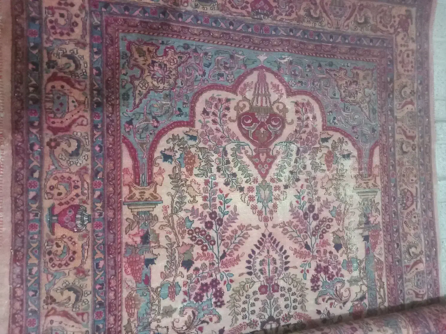 فرش|فرش|شاندیز, |دیوار