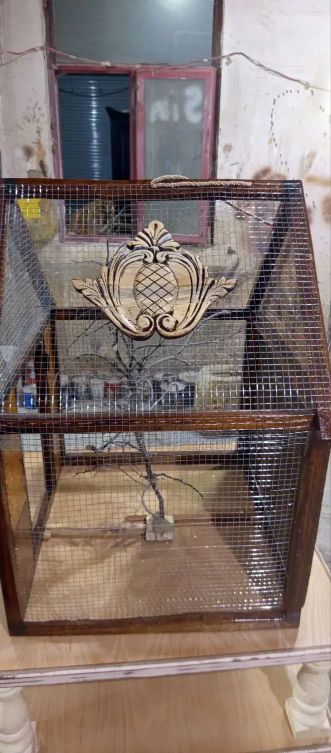 قفس|لوازم جانبی حیوانات|جوکار, |دیوار