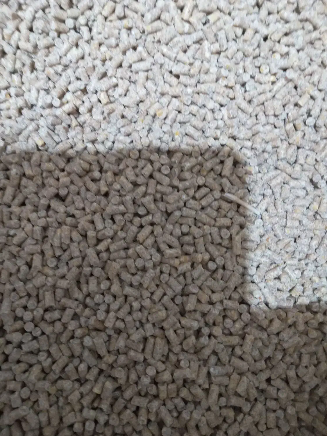 دان تخمگذاری گندم دیم بلدرچین|لوازم جانبی حیوانات|مشهد, شهرک امام هادی (شهرک غرب)|دیوار