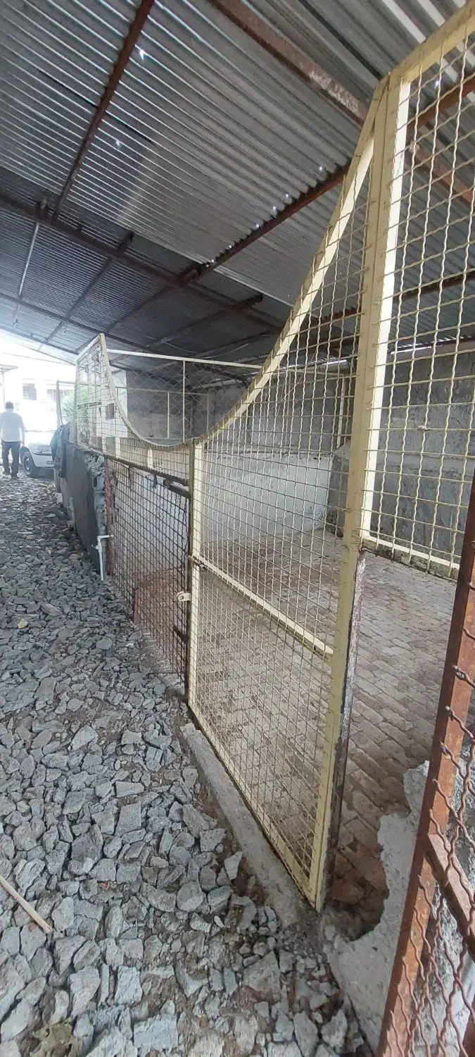 ۴۰۰مترویلاباغ سندتک برگ محدوده جنگلی ارزنده وبرند|فروش خانه و ویلا|فریدون‌کنار, |دیوار