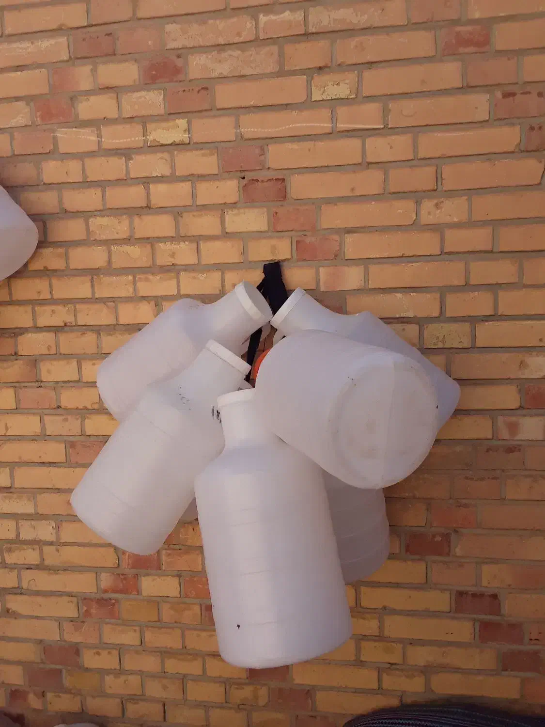 بشکه  ده لیتری|ظروف نگهدارنده، پلاستیکی، یک‌بارمصرف|بهبهان, |دیوار