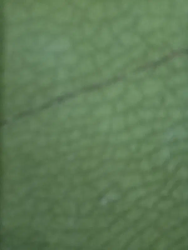 رادیاتور ال 90 فابریکی|قطعات یدکی و لوازم جانبی|شیراز, گل سرخ|دیوار