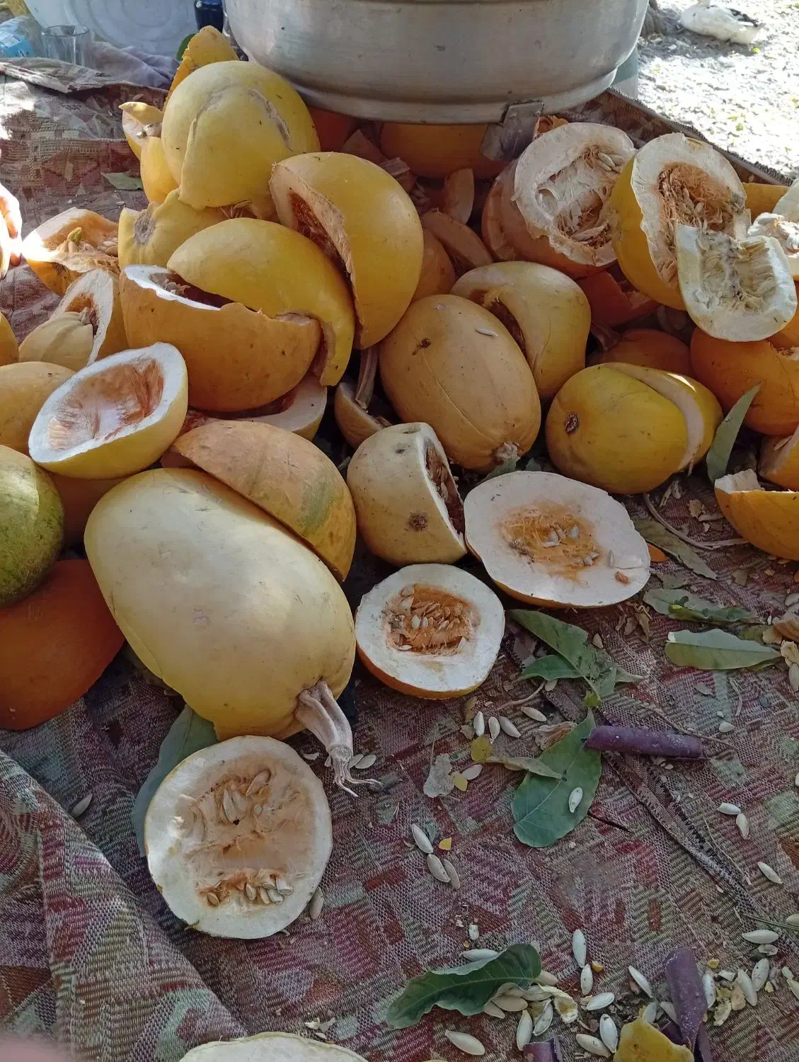 خوراک دام|لوازم جانبی حیوانات|طرقبه, |دیوار