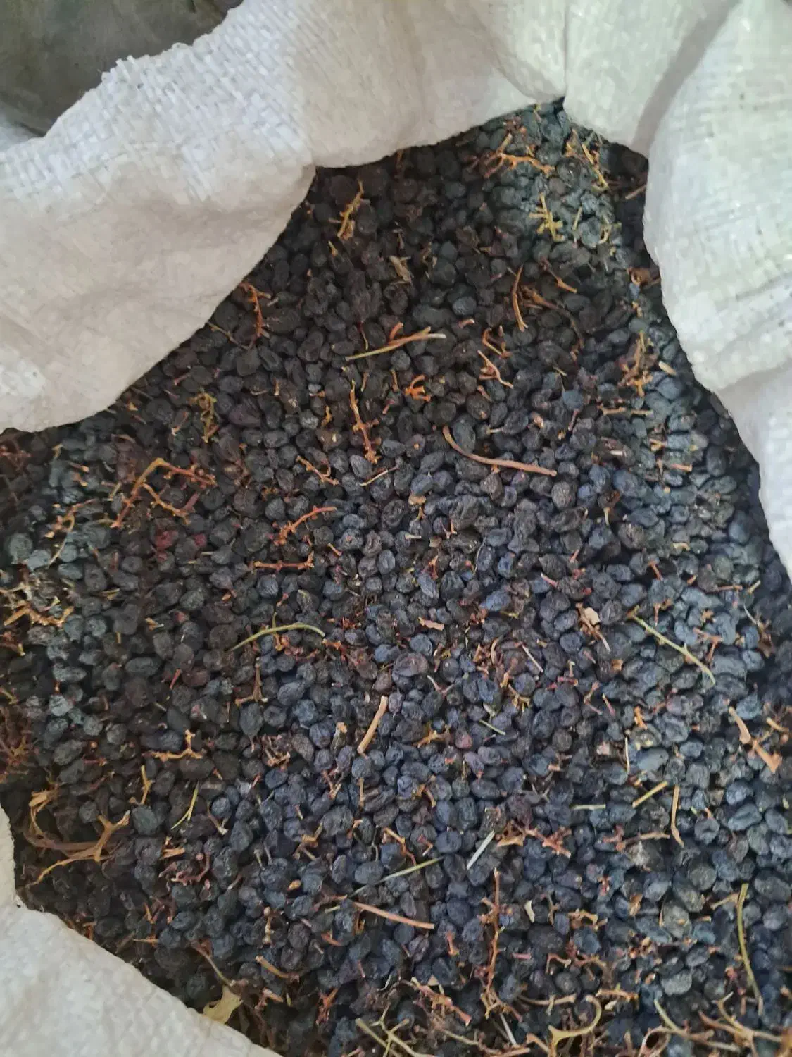 کشمش یاقوتی آفتابی|خوردنی و آشامیدنی|قزوین, |دیوار