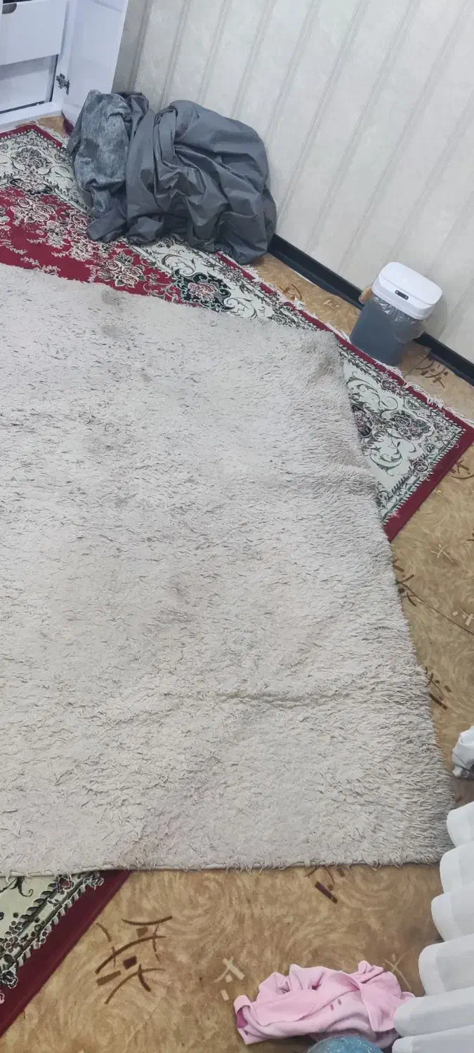 قالیچه|فرش|بندرعباس, |دیوار