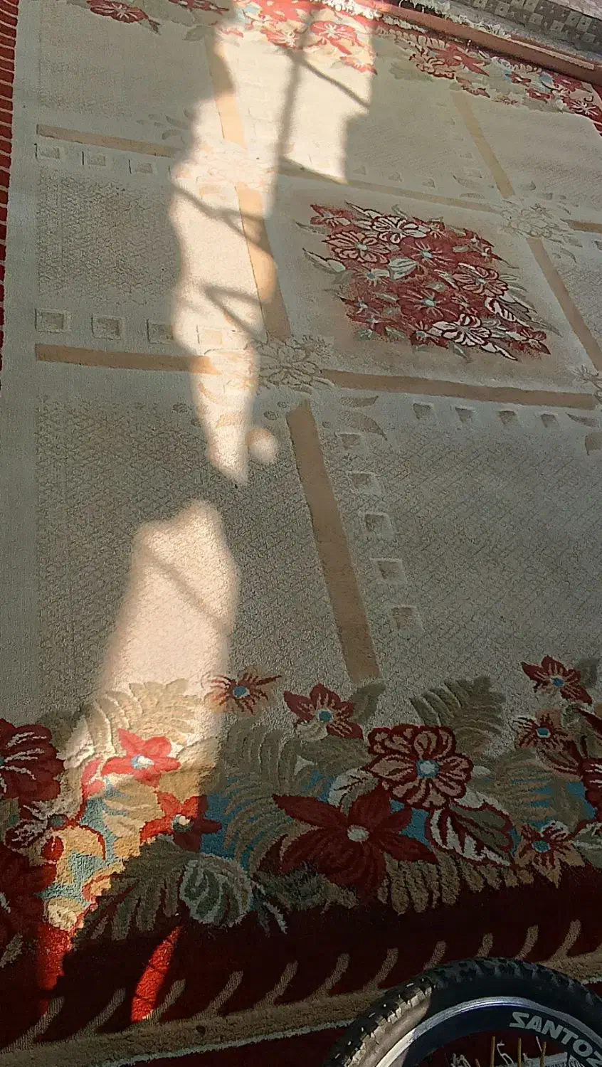 دو عدد گلیم|گلیم، جاجیم، گبه|دهلران, |دیوار