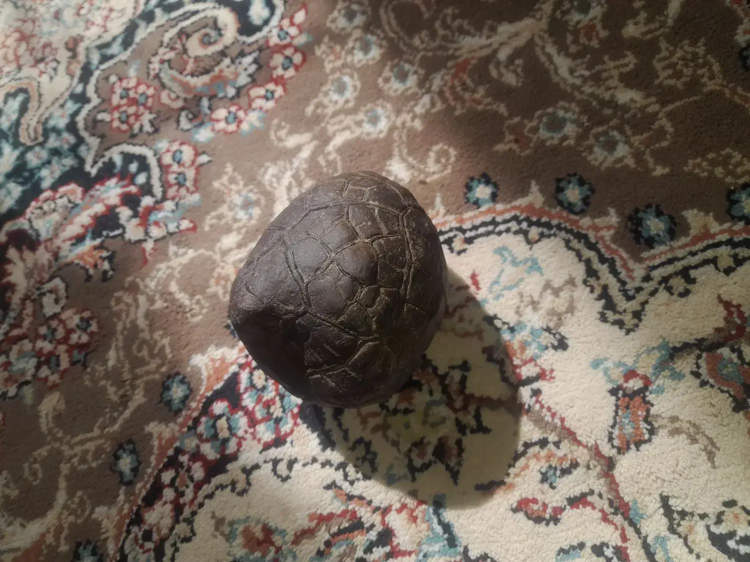 سنگ|کلکسیون اشیاء عتیقه|مشهد, جنت|دیوار