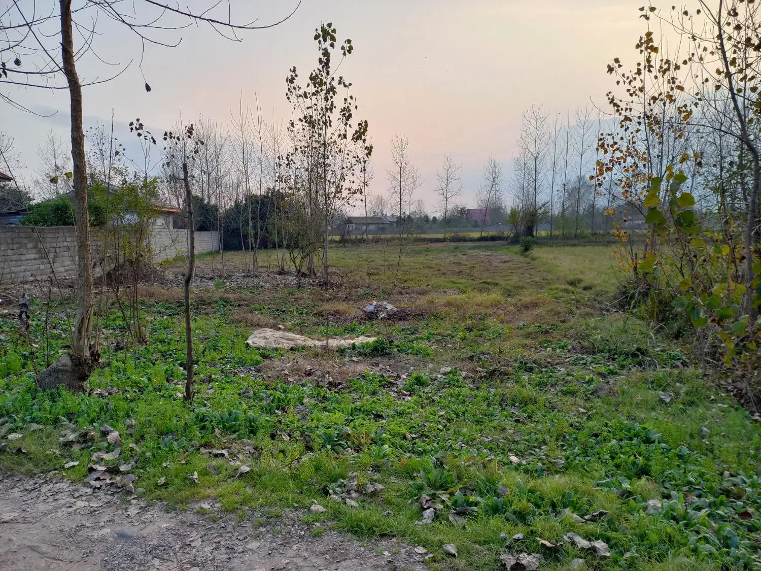 فروش زمین مسکونی|فروش زمین و ملک کلنگی|تهران, انبار نفت|دیوار