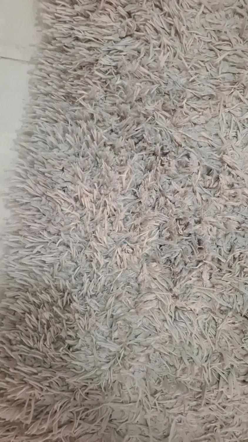 گلیم و کناره|گلیم، جاجیم، گبه|همدان, |دیوار