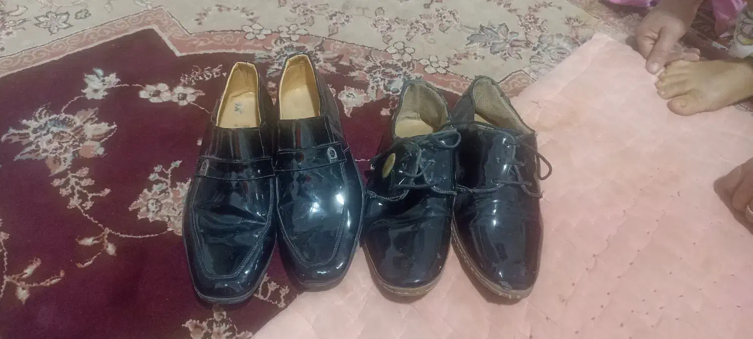 کفش مردانه|کیف، کفش، کمربند|تربت جام, شهرک معلم|دیوار