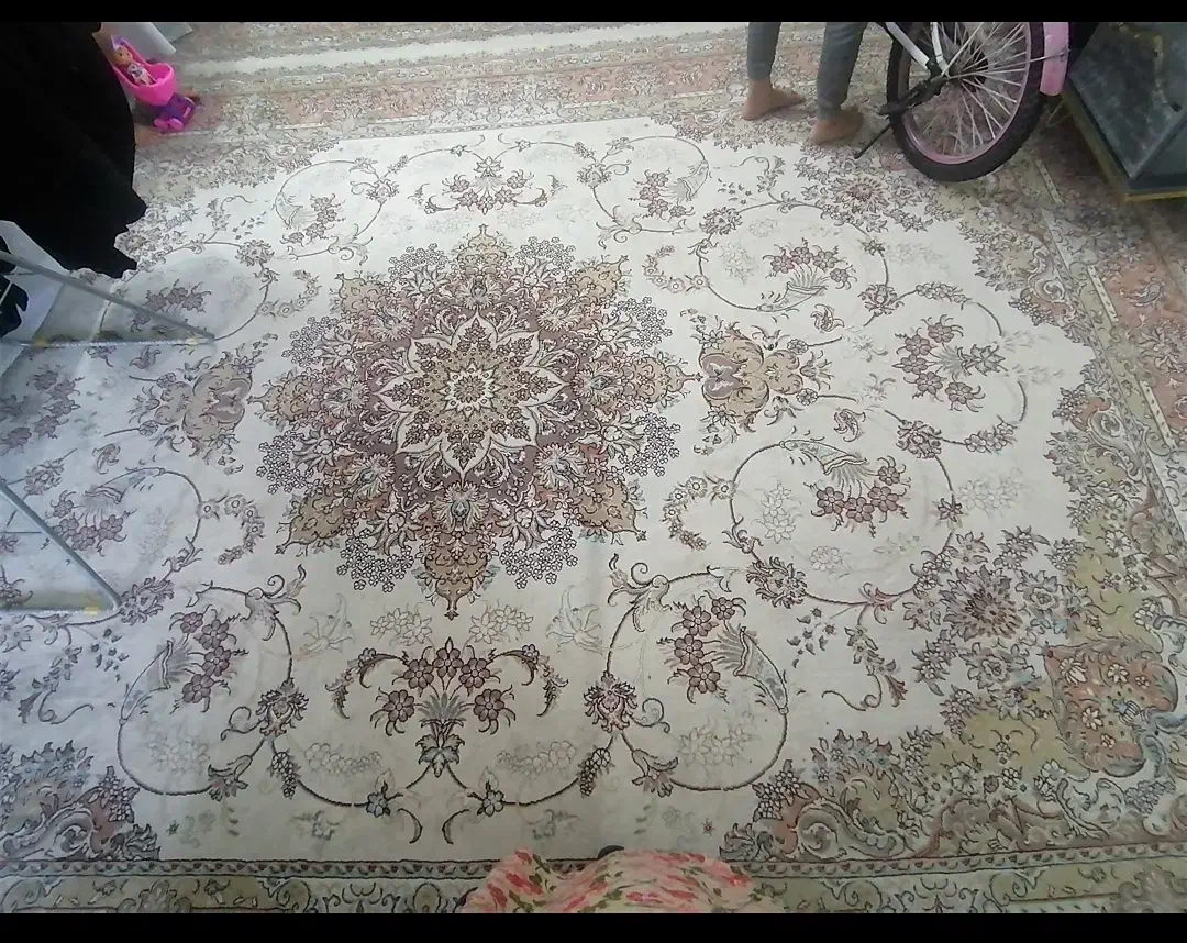 فرش 12متره|فرش|مشهد, نظام دوست|دیوار