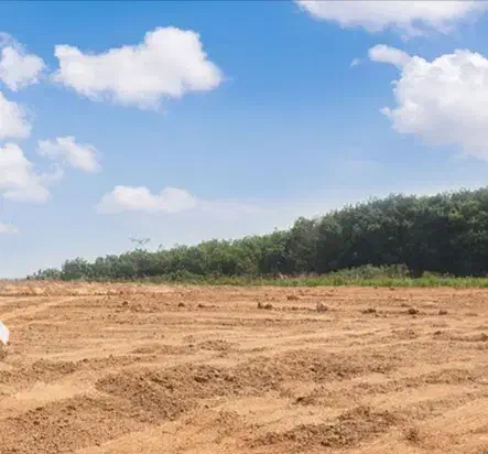 فروش زمین مسکونی|فروش زمین و ملک کلنگی|تربت‌حیدریه, شهرک ولیعصر|دیوار