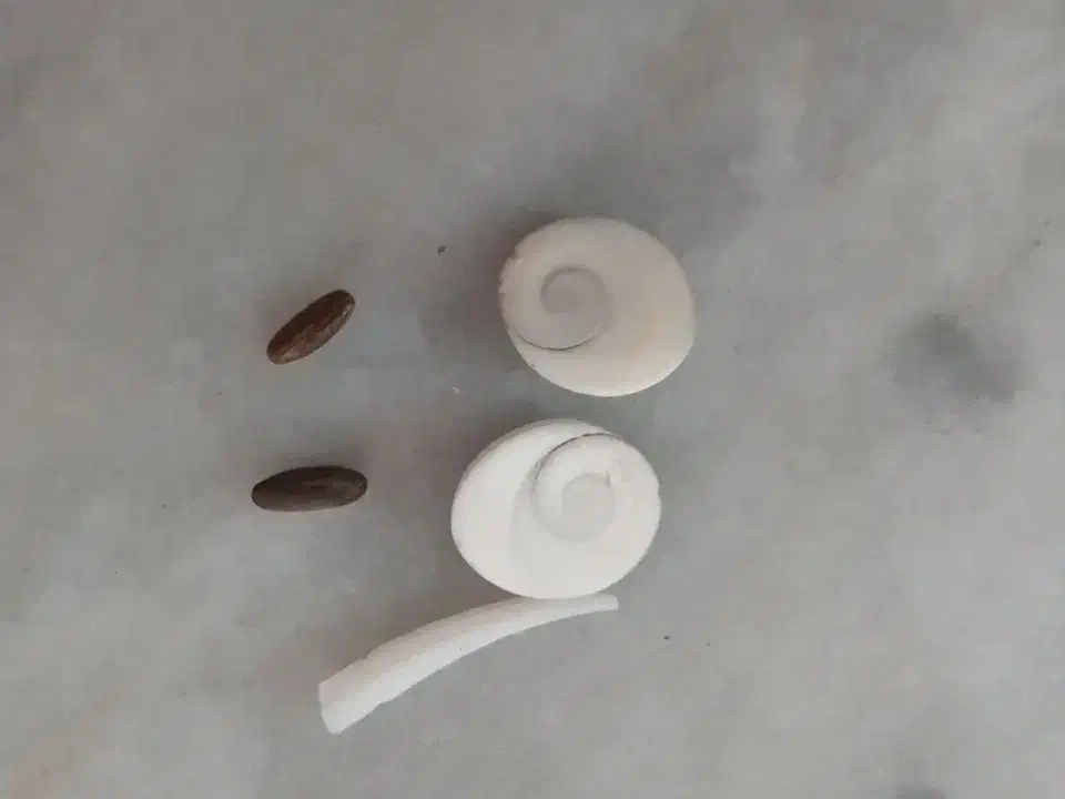 مهره اصل|جواهرات|شیروان (خراسان), |دیوار