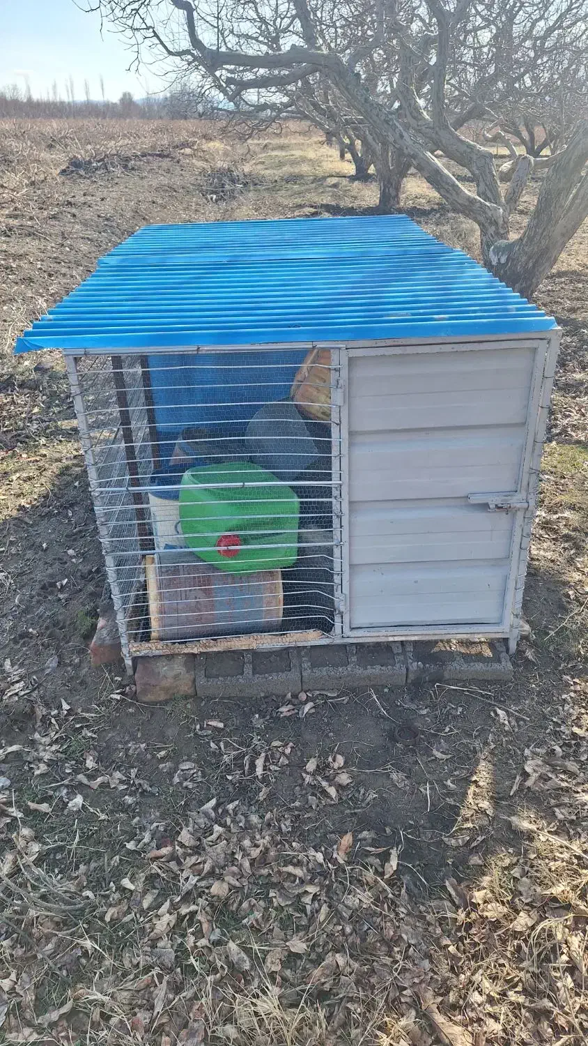 قفس حیوانات|لوازم جانبی حیوانات|نقده, |دیوار