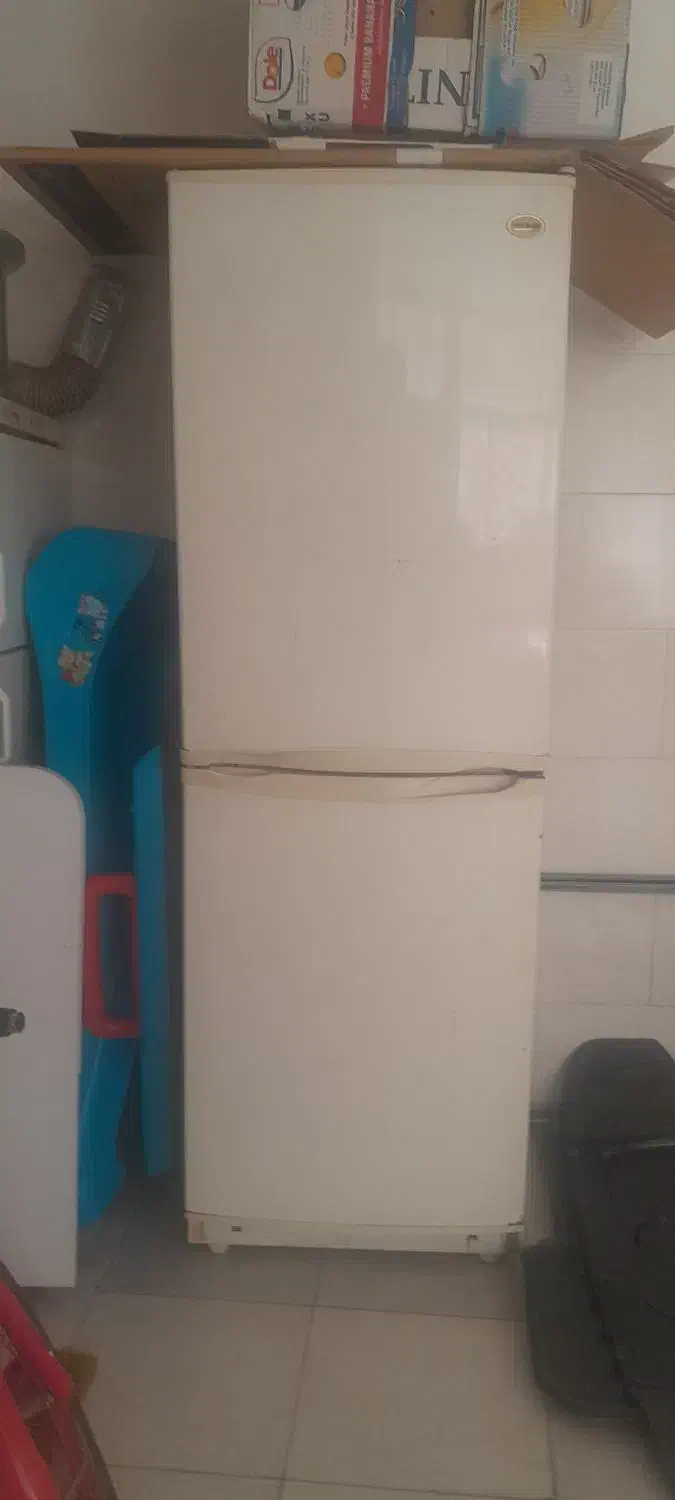 یخجال|یخچال و فریزر|تبریز, |دیوار