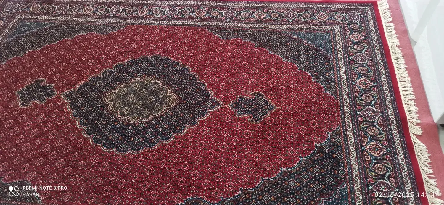 قالی ۶ متری تمییز|فرش|زاهدان, |دیوار