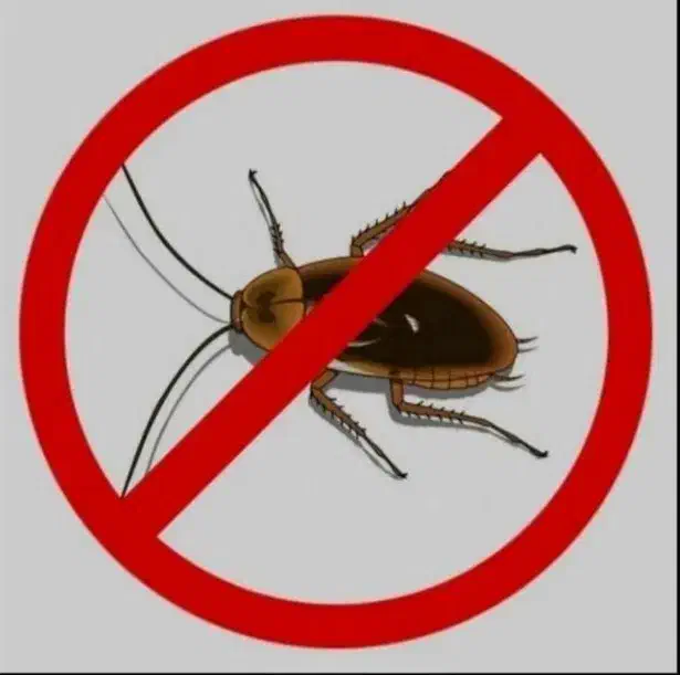 سمپاشی منزل و باغشهری|خدمات نظافت|صدرا-فارس, فاز ۲|دیوار