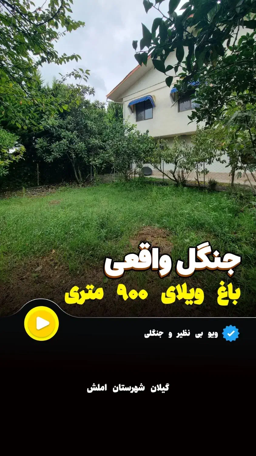 جنگل واقعی/باغ ویلا با سند|فروش خانه و ویلا|چابکسر, |دیوار