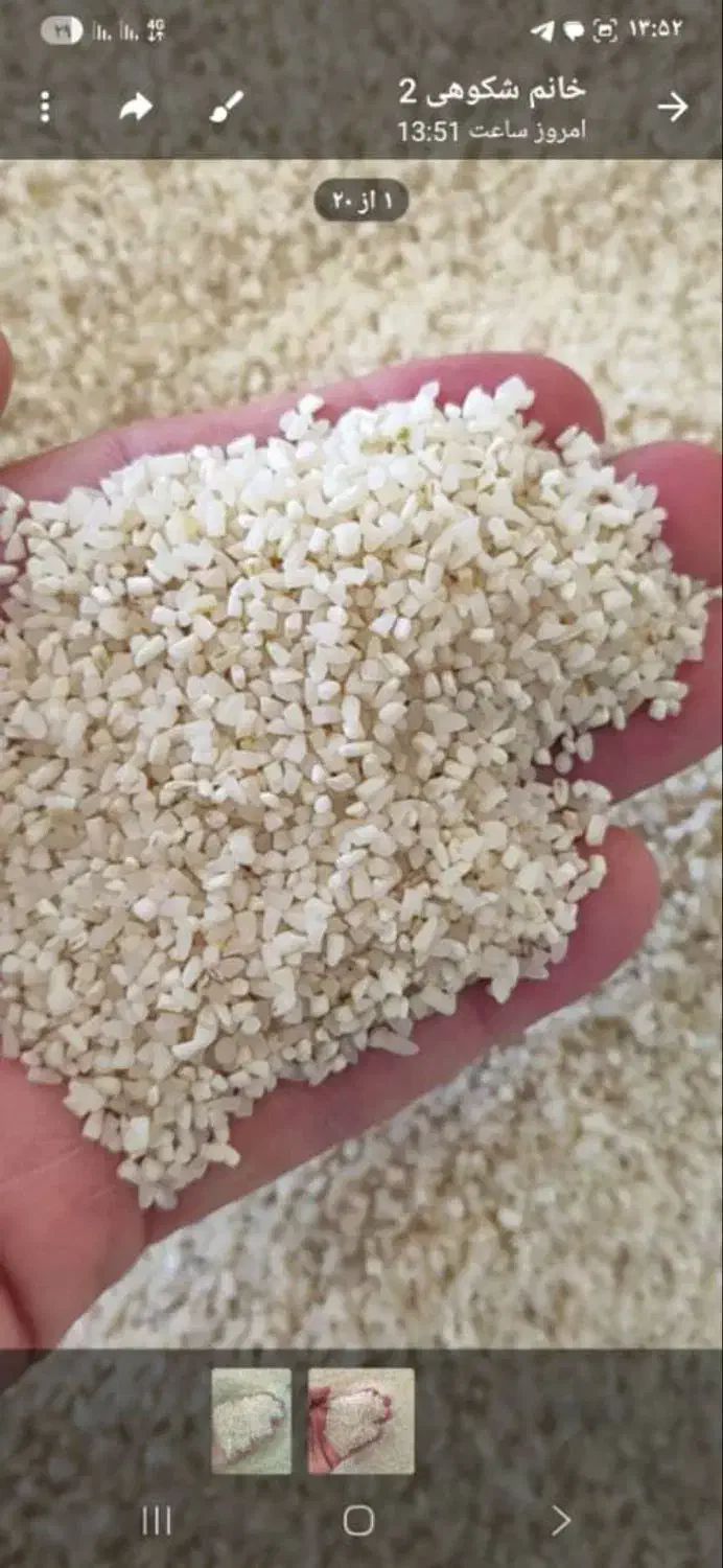 برنج طارم هاشمی درجه یک عطر دار 195|عمدهفروشی|بومهن, |دیوار