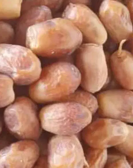 خرمایی زاهدی طلای شیرین جنوب|خوردنی و آشامیدنی|کاشان, ولیعصر|دیوار