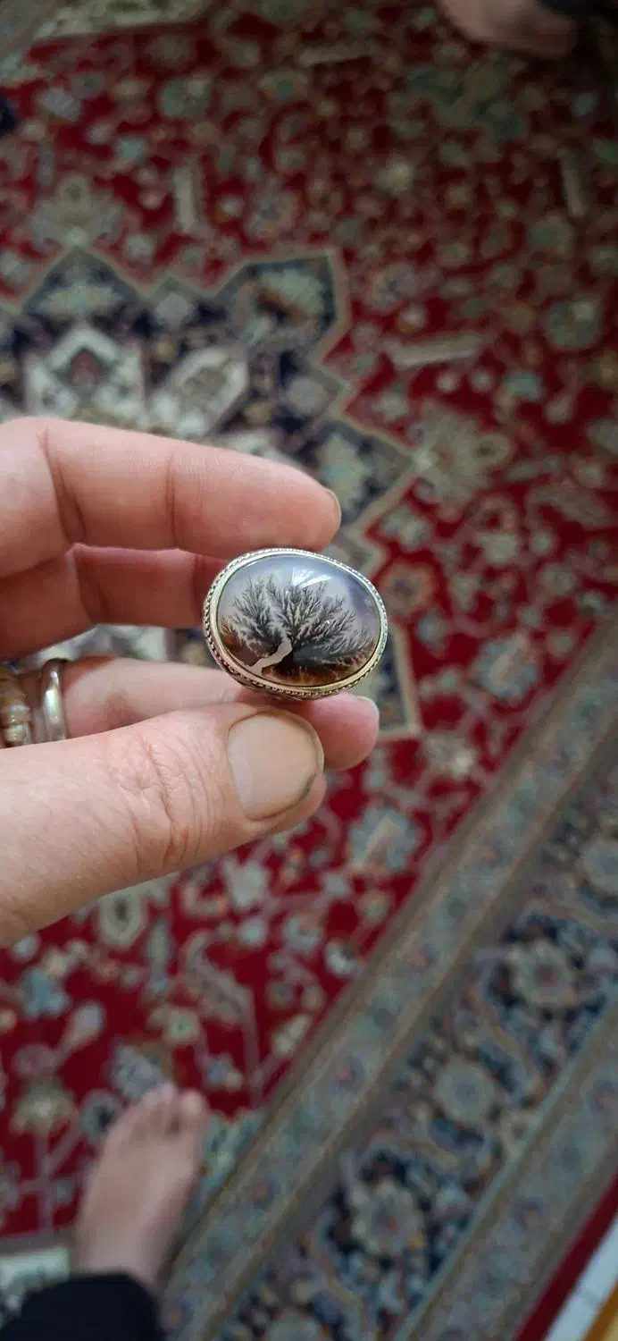 شجر تمام شبکه|کلکسیون اشیاء عتیقه|آفتاب, |دیوار