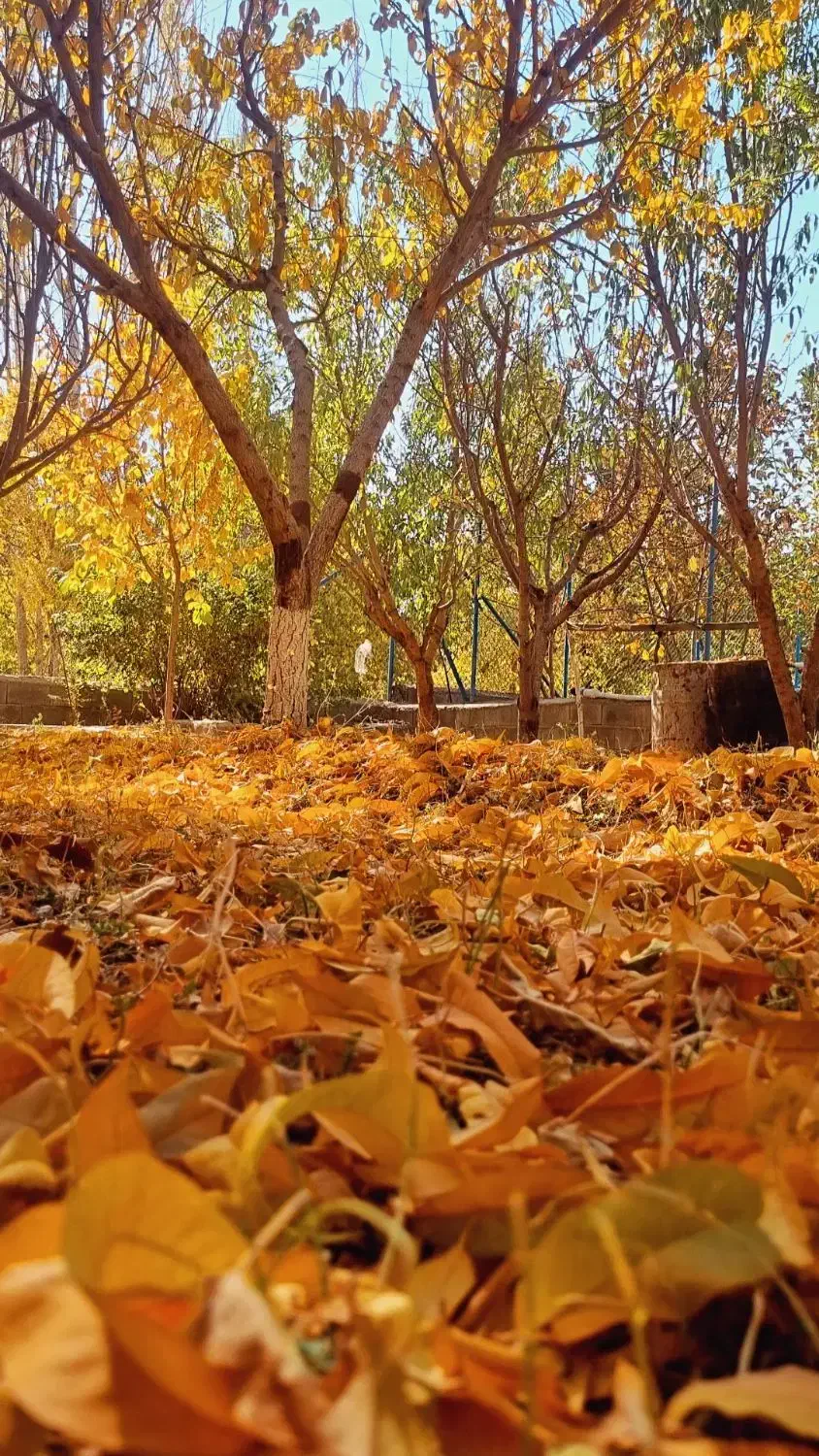 سمند دوگانه سوز کارخانه|خودرو سواری و وانت|گلپایگان, |دیوار