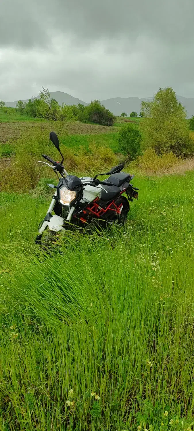 بنلی 250|موتورسیکلت|همدان, |دیوار