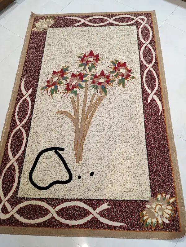 پتینه۶متری و کودک|فرش|مشهد, موسوی قوچانی|دیوار