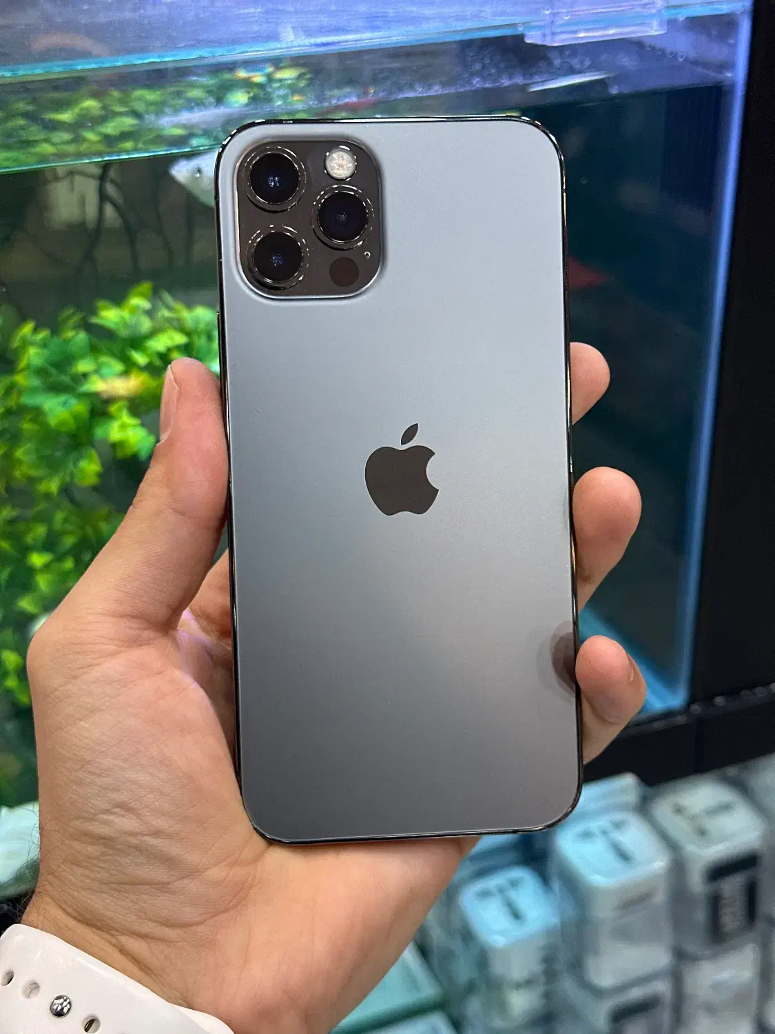 12pro|موبایل|شیراز, زند|دیوار