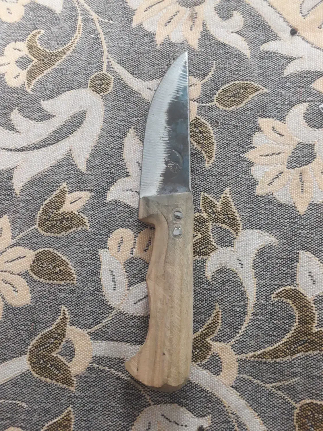 فروشی است|کوهنوردی و کمپینگ|مشهد, هنرور|دیوار