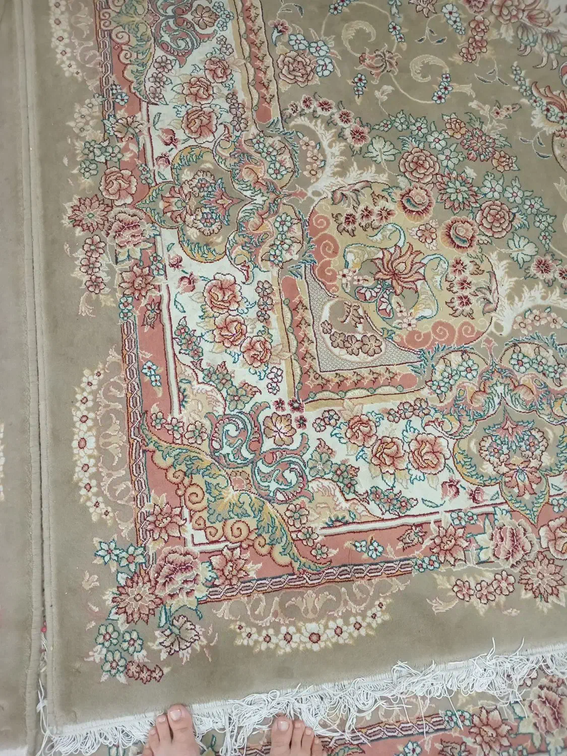 ۴عدد فرش۹متری|فرش|تربت‌حیدریه, داروپخش|دیوار