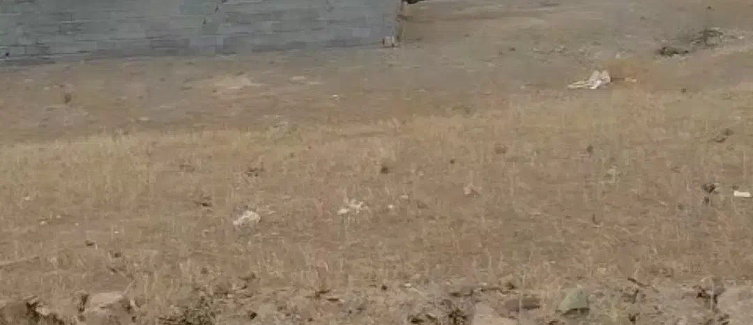 زمین مسکونی طارم|فروش زمین و ملک کلنگی|طارم, |دیوار