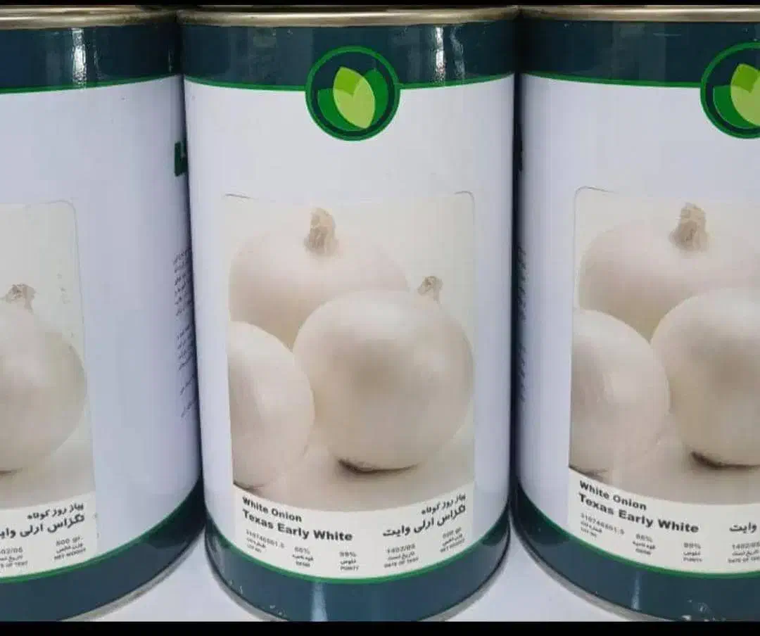 بذر پیاز فلات یک کیلو از کشت خودم اضاف اومد|خدمات باغبانی و درختکاری|جیرفت, |دیوار