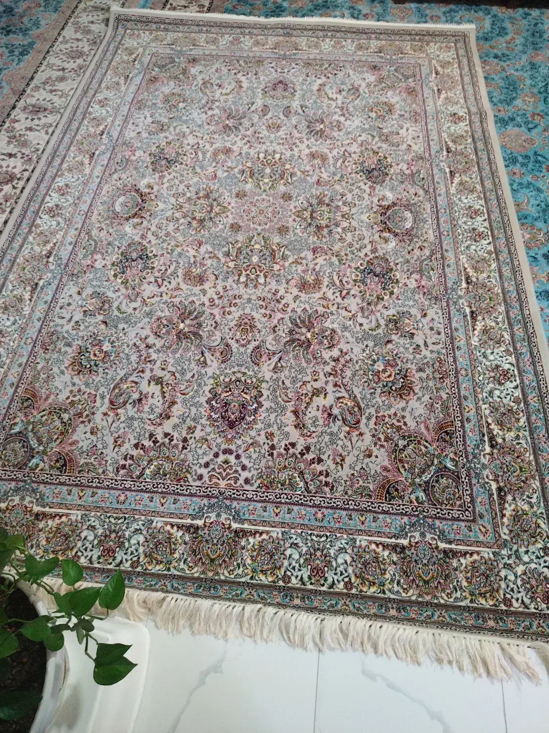 یه جفت فرش 6متری درحد نو نو نو|فرش|کرمانشاه, |دیوار