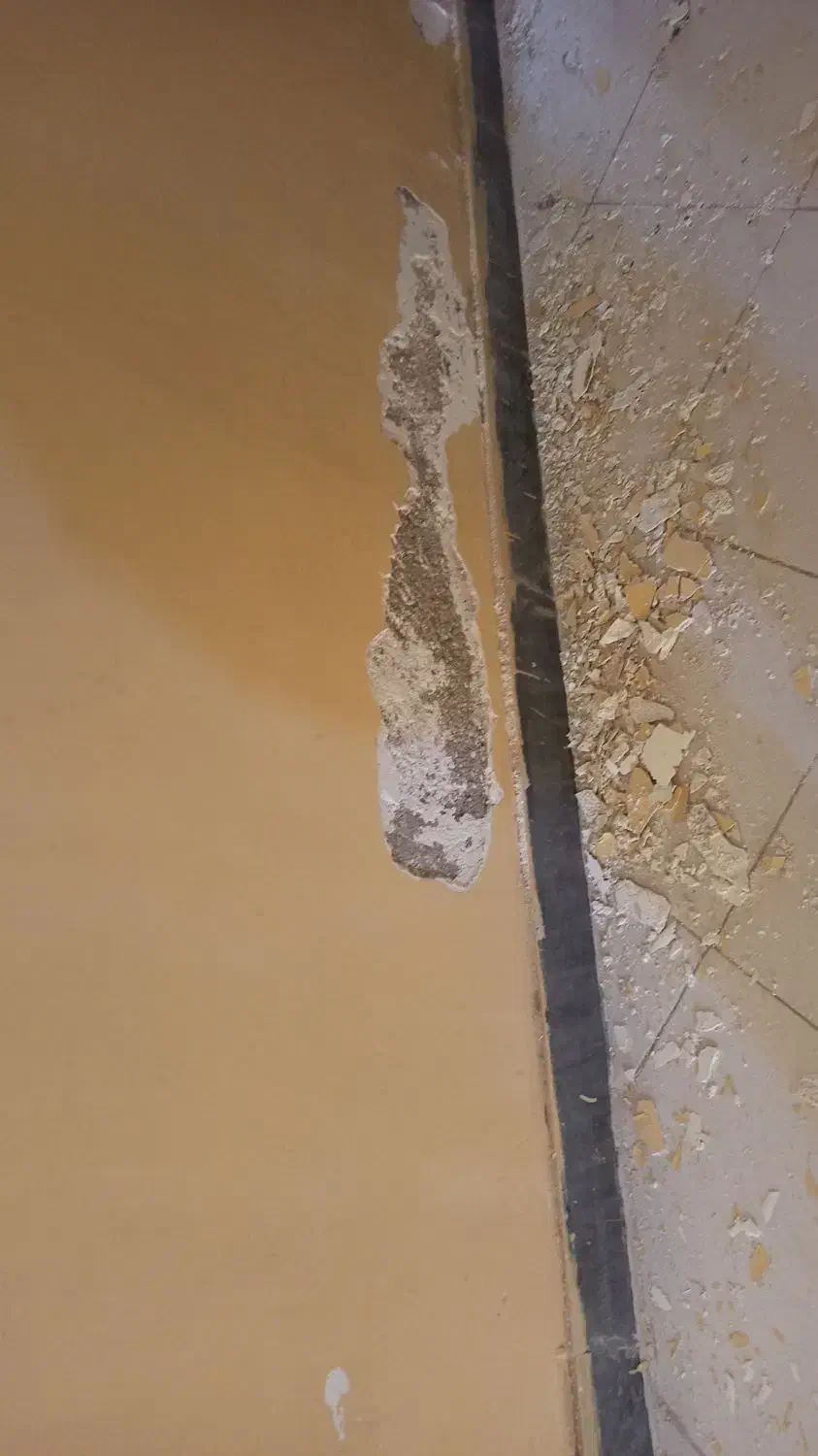 اجرای انواع عایق و رنگ|خدمات پیشه و مهارت|عسلویه, |دیوار