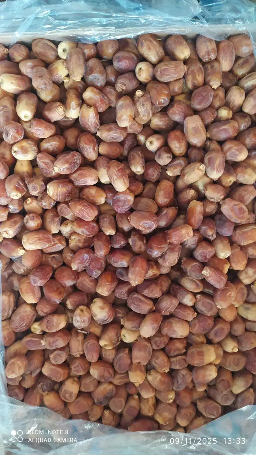 خرما درجه یک|خوردنی و آشامیدنی|مشهد, آپارتمان های مرتفع|دیوار