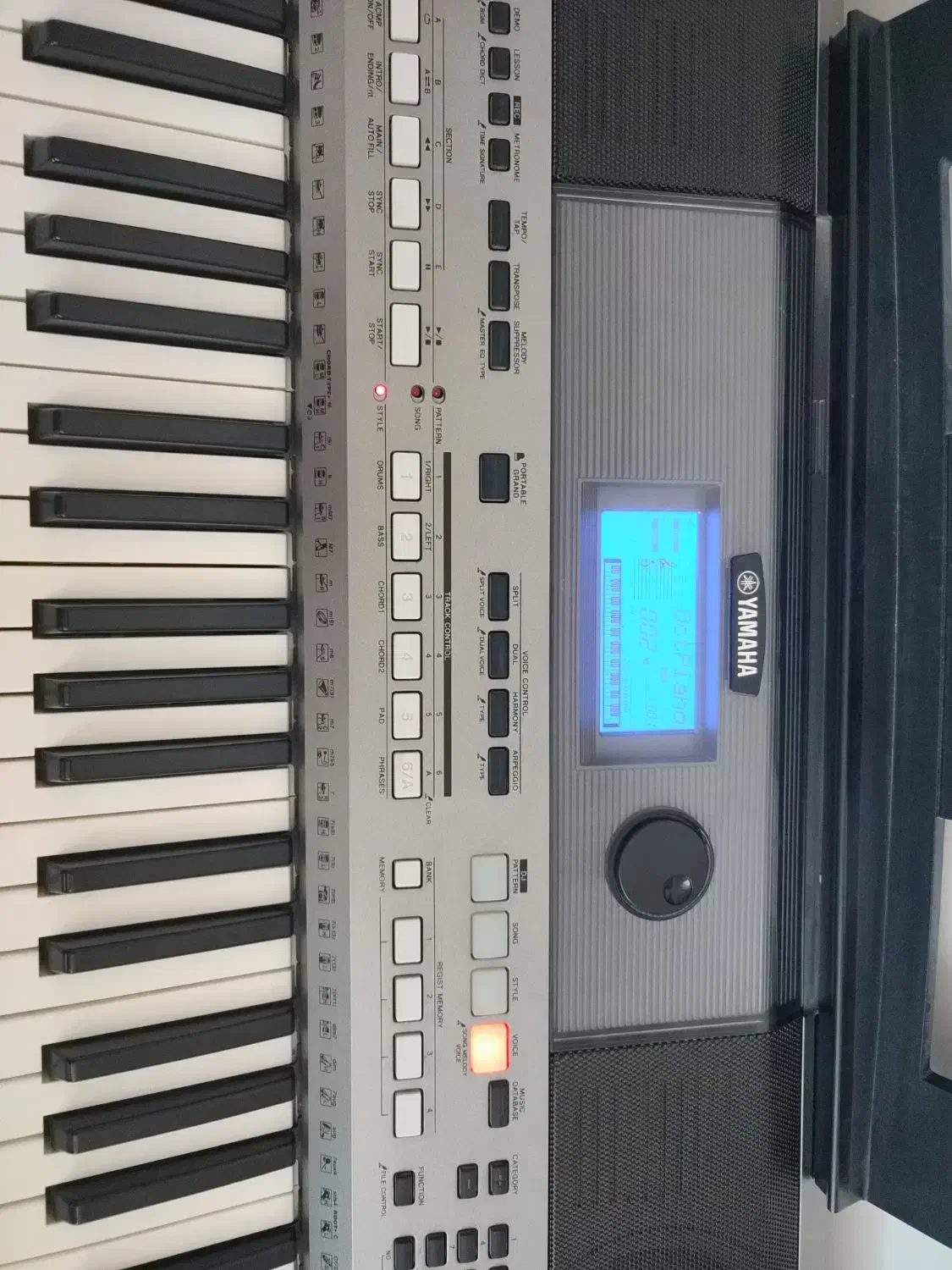 ارگ e443 بسیار تمیز|پیانو، کیبورد، آکاردئون|شاهرود, |دیوار