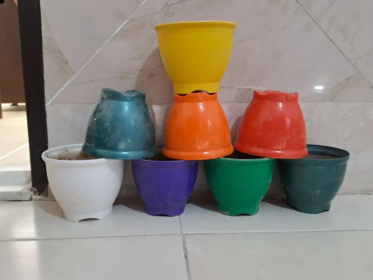 گلدان پلاستیکی|گل و گیاه طبیعی|قم, شاه ابراهیم|دیوار