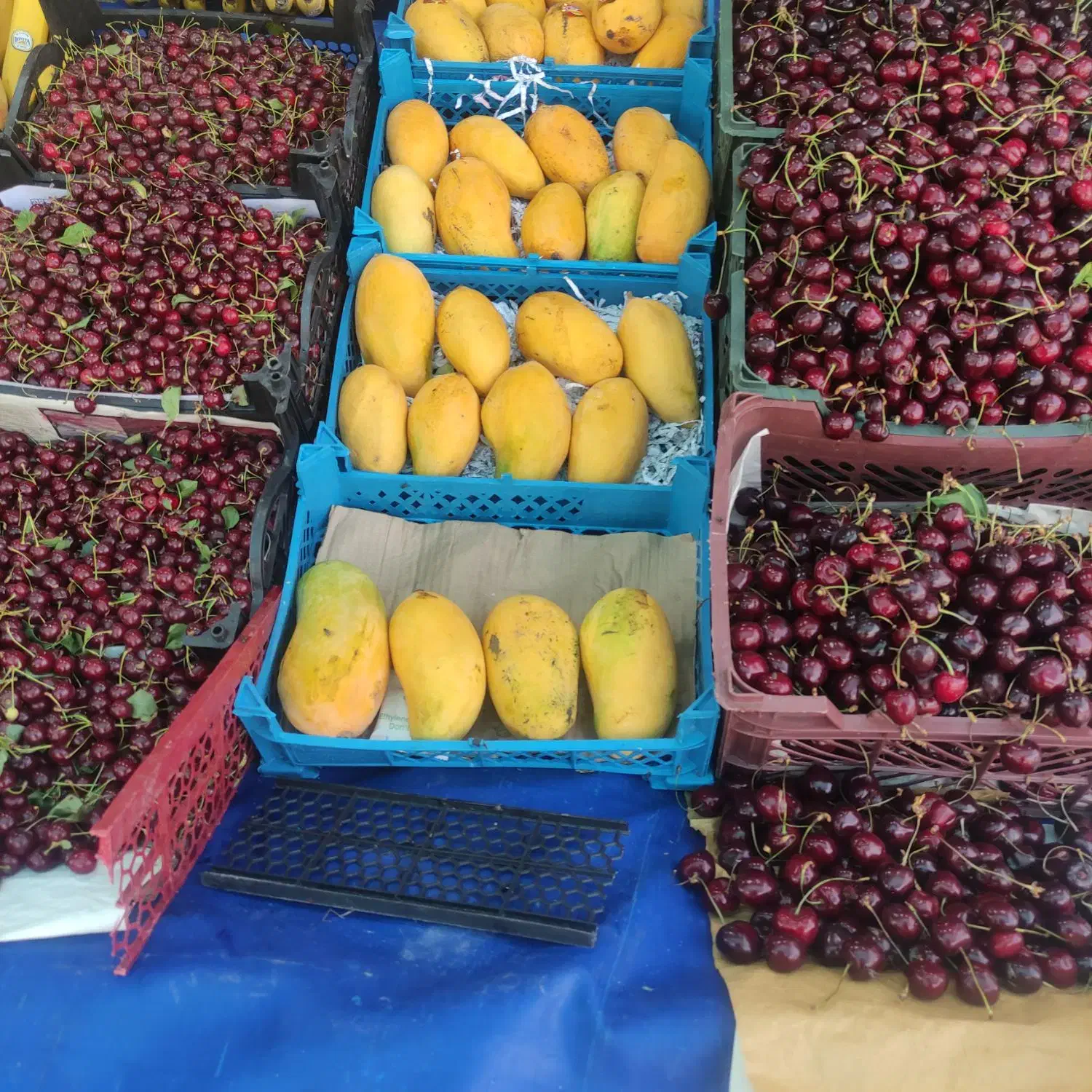 واگذاری میوه فروشی|اجارهٔ مغازه و غرفه|شاهین‌شهر, عطار|دیوار