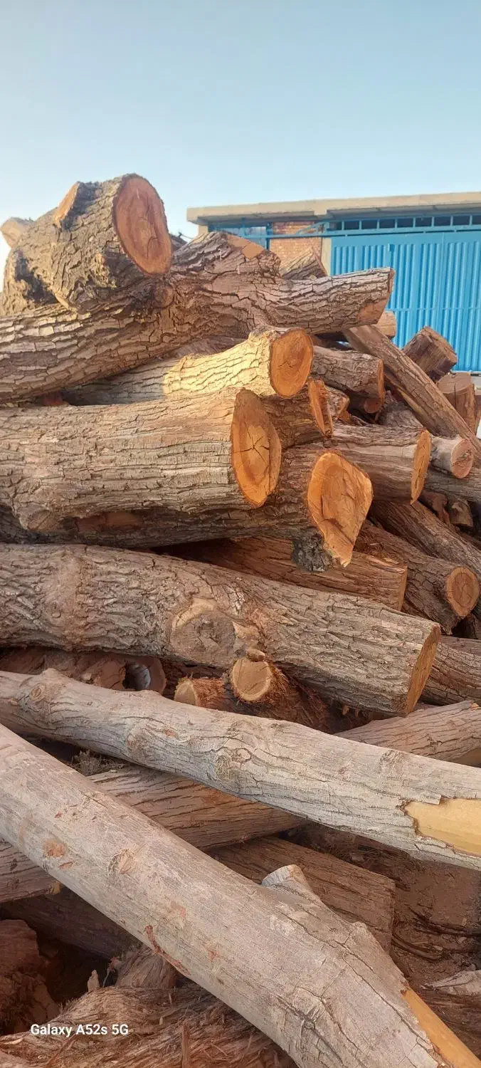 خرید فروش اسلب و چوب|عمدهفروشی|بردسیر, |دیوار