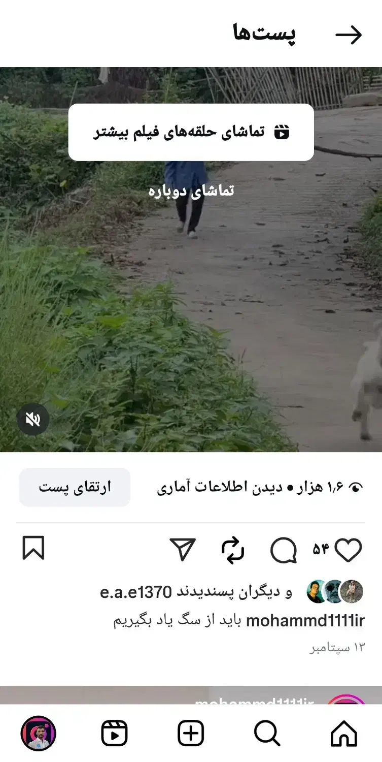 پیج اینستاگرام|لوازم جانبی موبایل و تبلت|اردبیل, |دیوار