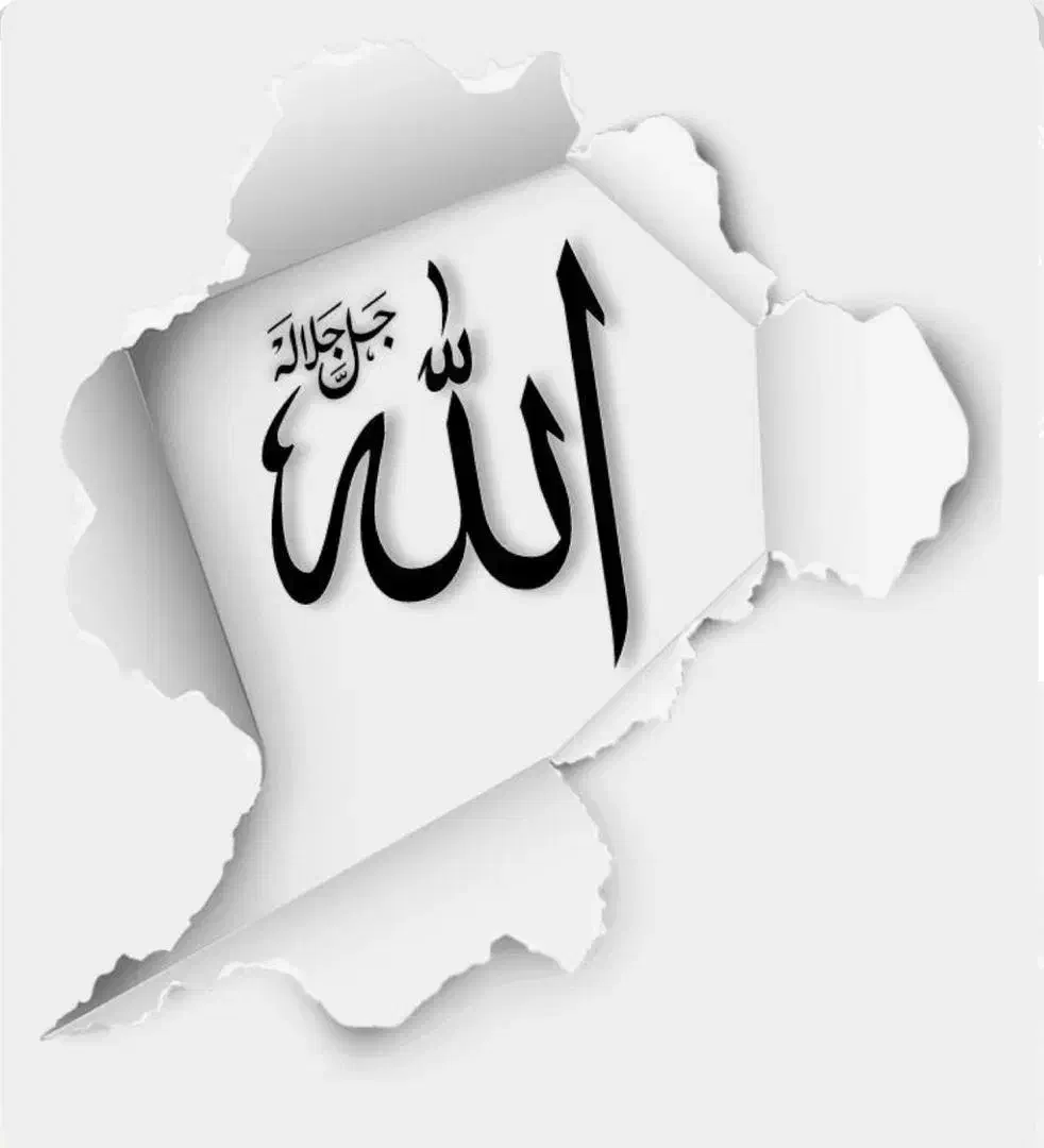 تحقیق|فعالیت داوطلبانه تحقیقاتی|زاهدان, |دیوار